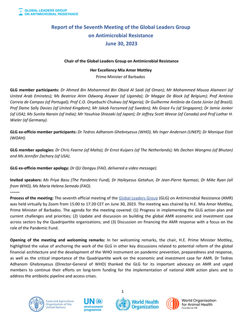 Report of the Seventh Meeting of the Global Leaders Group on AMR