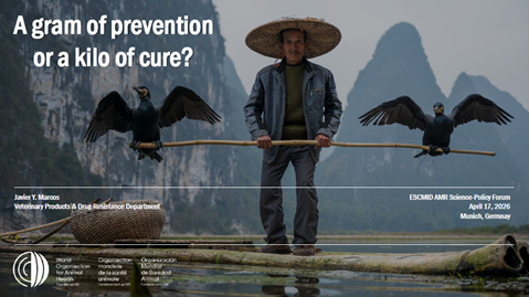 Session 2: A gram of prevention or a kilo of cure?