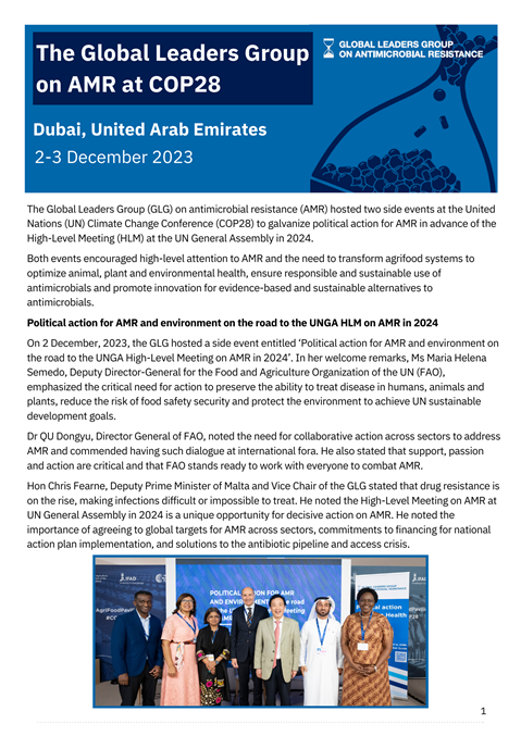 Report on the GLG events at COP28
