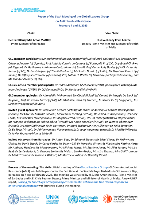 Report of the Sixth Meeting of the Global Leaders Group on AMR