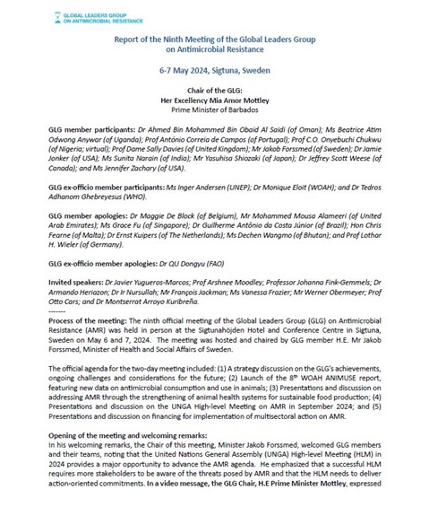 Report of the Ninth Meeting of the Global Leaders Group on Antimicrobial Resistance